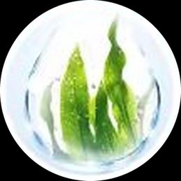 海藻肽